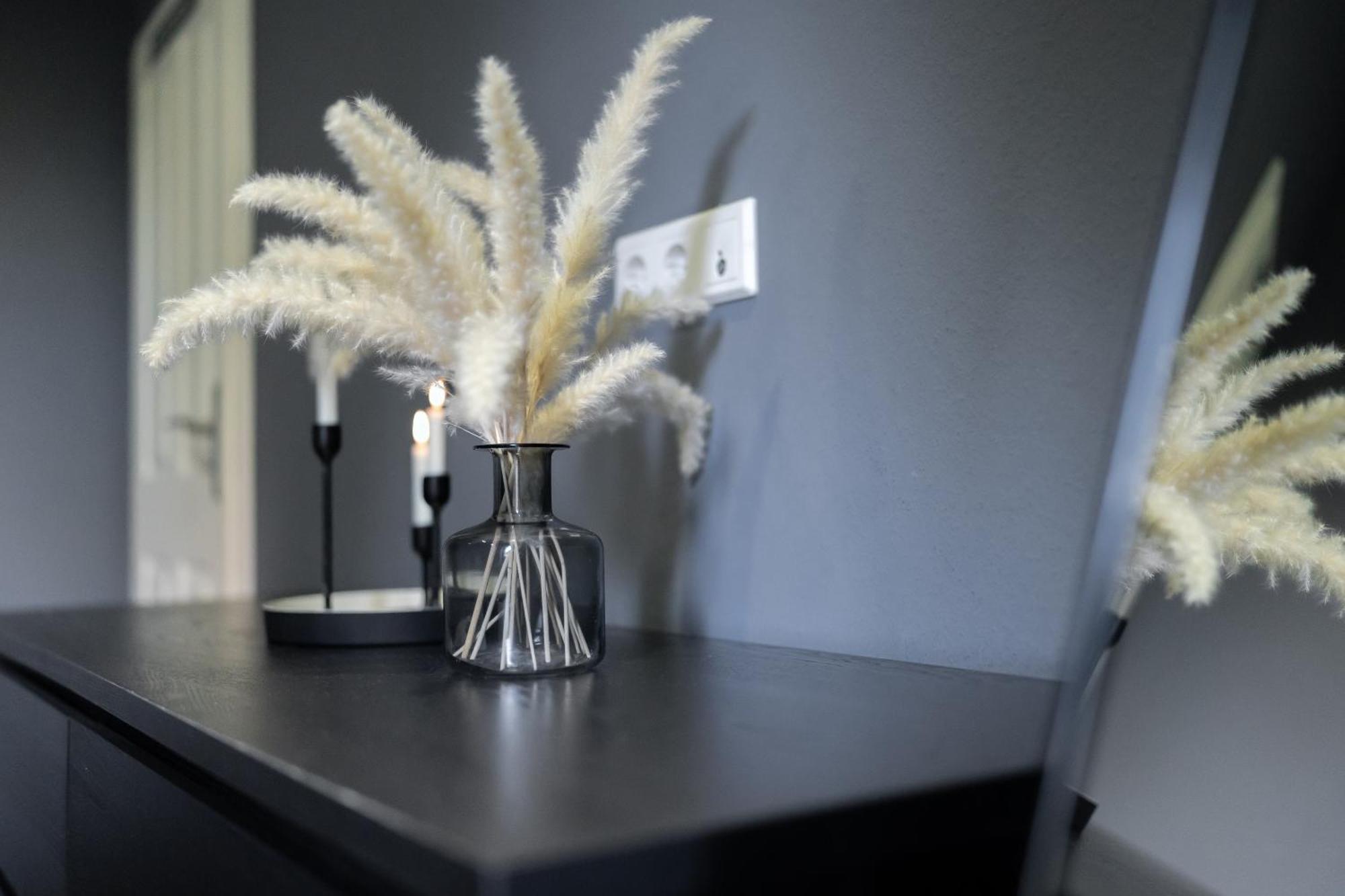 Birmingham Apartment Celle